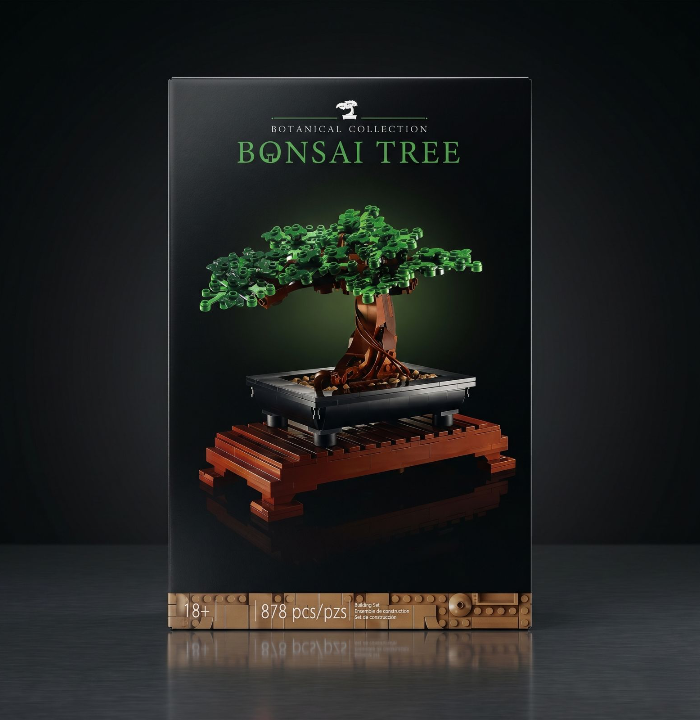 Copac Bonsai